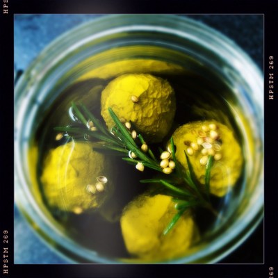 Labneh Cheese in Extra Virgin Olive Oil