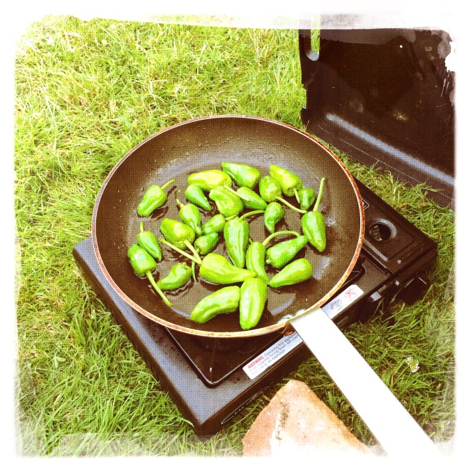 Cooking Padron Peppers on the camping stove