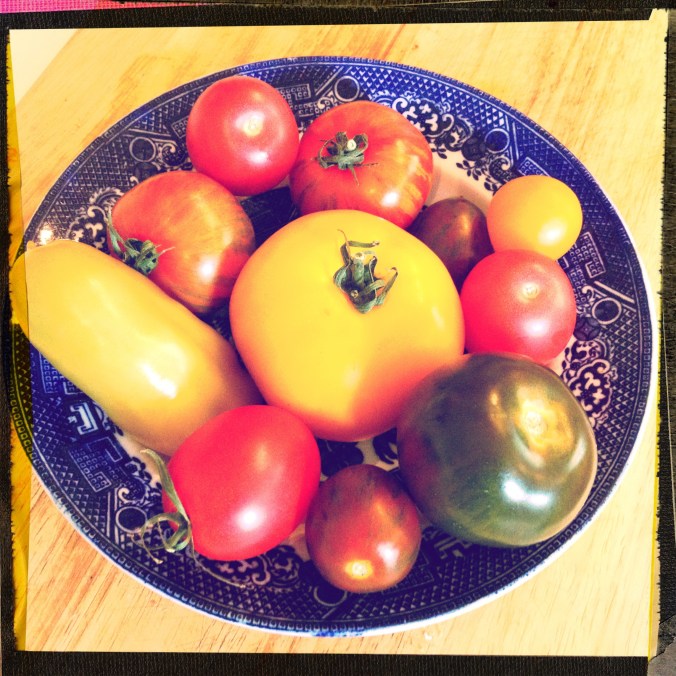 Heirloom Tomatoes