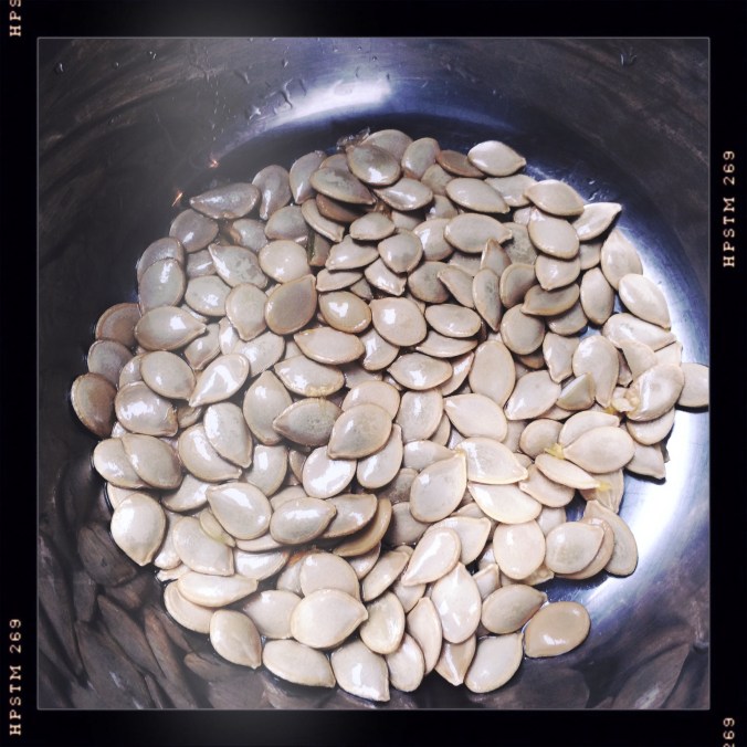 Harlequin Squash Seeds