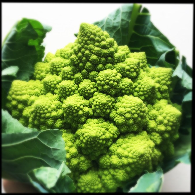 Romanesco Cauliflower - natural approximation of a fractal