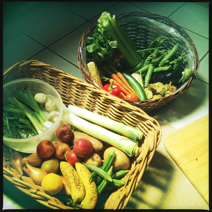 Selection of fruits, vegetables and herbs