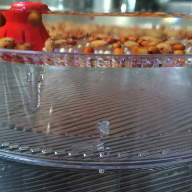 3-tier watering system