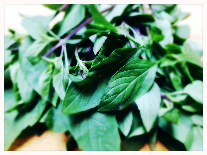 Fresh Thai Basil