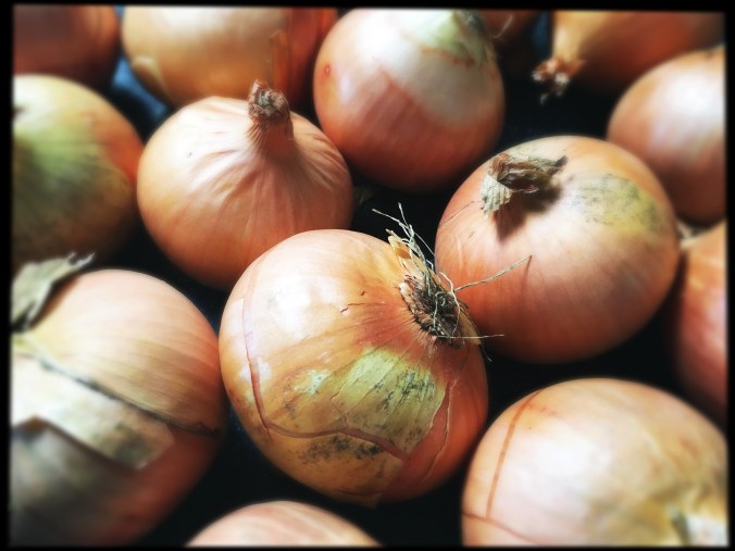 brown onions