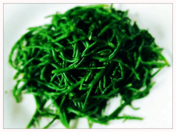 Rock Samphire