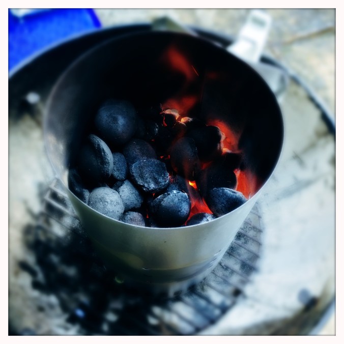 weber coal starter