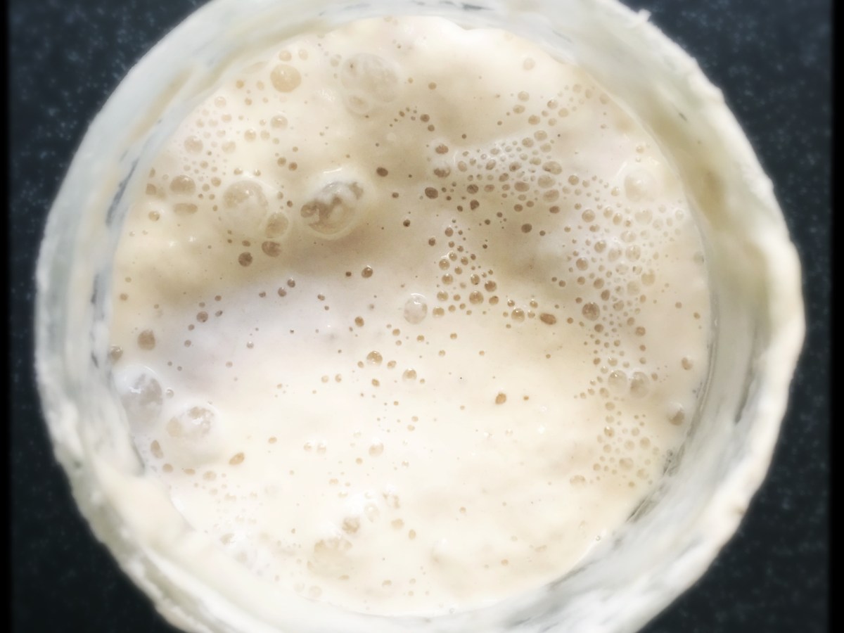 Sourdough Starter