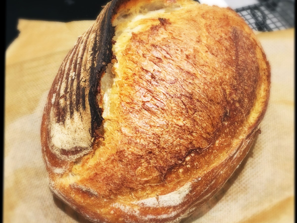 Sourdough 2.0
