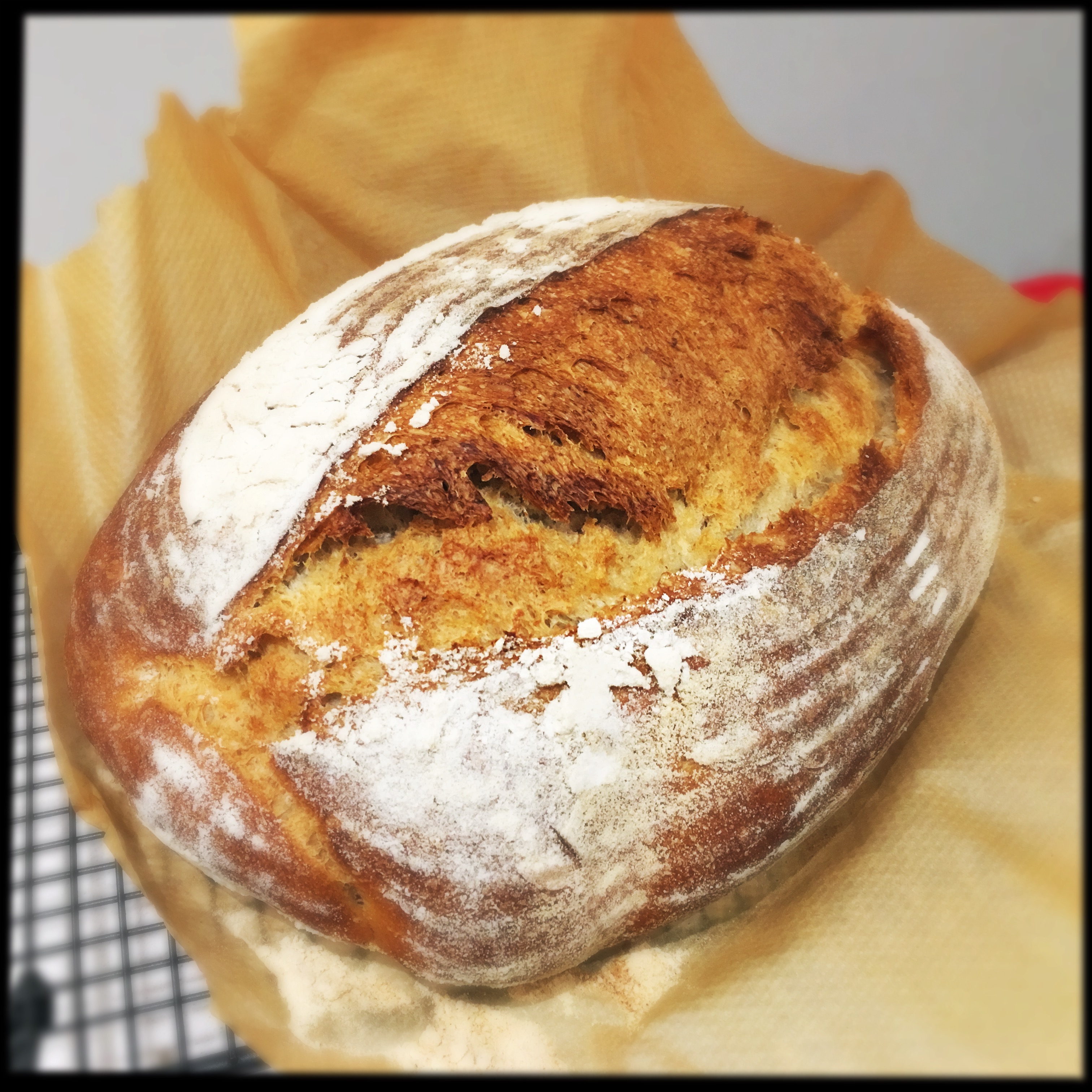 sourdough bread