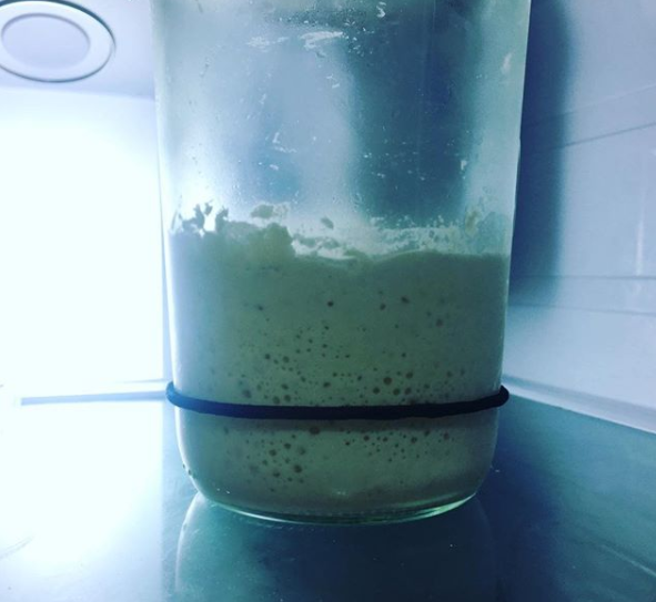 Refrigerated sourdough starter
